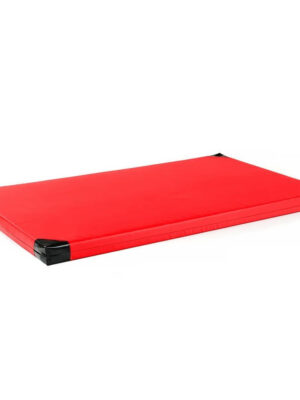 Gymnastická žinenka inSPORTline Roshar T60 200x120x10 cm červená