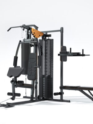 Posilňovacia veža inSPORTline Profigym C60