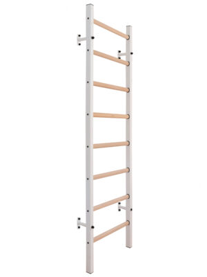 Rebriny BenchK 200W 230x67 cm
