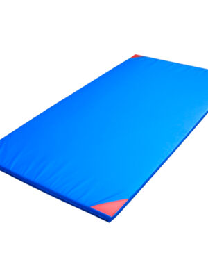 Protišmyková gymnastická žinenka inSPORTline Anskida T120 200x120x5 cm modro-červená