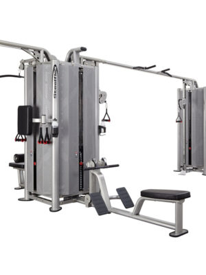 Posilňovacia veža Steelflex Jungle Gym JG5000S Five-Stack