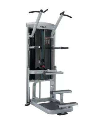 Multifunkčná hrazda Steelflex Mega Power MCD2100 Chin Up/Dip