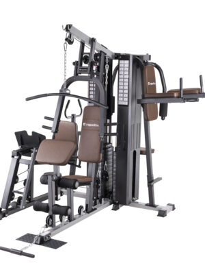 Posilňovacia veža inSPORTline Profigym C300
