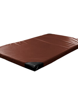 Gymnastická žinenka inSPORTline Roshar T60 200x120x10 cm hnedá