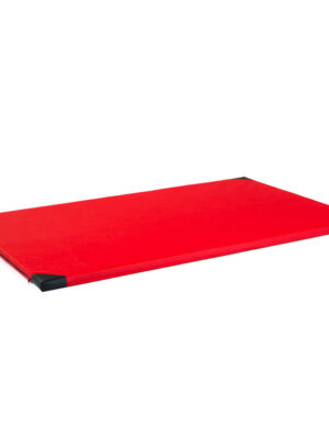 Gymnastická žinenka inSPORTline Roshar T90 200x120x5 cm červená
