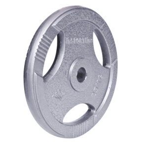 Liatinový kotúč inSPORTline Hamerton 25 kg 30 mm