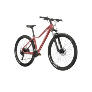 Kross LEA 5.0 2024 gaštanová / strieborná / lesk - DM (17"