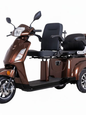 Elektrický trojkolesový vozík inSPORTline Zorica Duo dvojmiestny hnedá Elektrický trojkolesový vozík inSPORTline Zorica Duo dvojmiestny hnedá