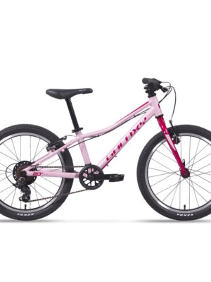 Galaxy Cetis 20"  2025 ružová - 10" (113-135 cm)