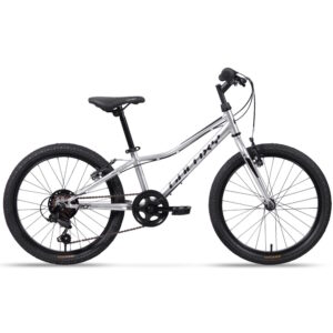 Galaxy Neptun 20" 2025 strieborná - 10" (113-135 cm)