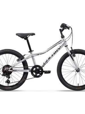 Galaxy Neptun 20" 2025 strieborná - 10" (113-135 cm) Galaxy Neptun 20" 2025 strieborná - 10" (113-135 cm)