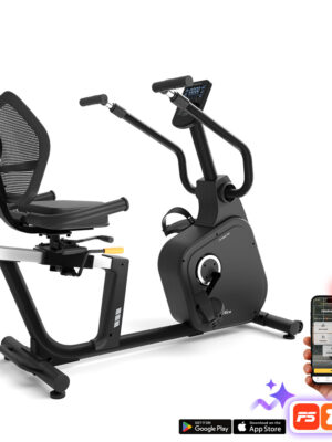 Recumbent inSPORTline ZenSeat 100 Recumbent inSPORTline ZenSeat 100