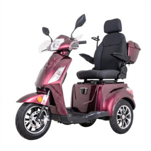 Elektrický trojkolesový vozík inSPORTline Zorica Deluxe s elektromagnetickou brzdou vínová
