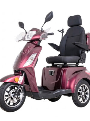 Elektrický trojkolesový vozík inSPORTline Zorica Deluxe s elektromagnetickou brzdou vínová